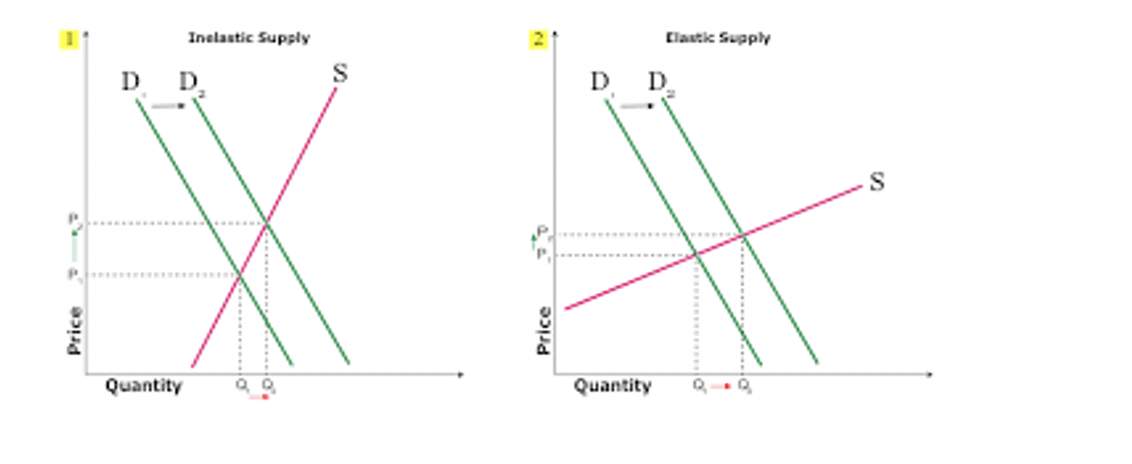 Price Elasticity