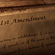 An Endangered Native Species: The First Amendment