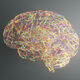The Partisan Brain