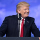 Media Name: 32758233090_2c574bee39_b.jpg