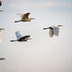 Media Name: gettyimages-1066510306-170667a.jpg