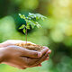 Media Name: gettyimages-900905150.jpg