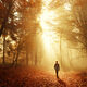 Media Name: thinkstockphotos-603858864.jpg