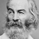 Media Name: waltwhitman_2.png
