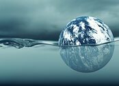 Climate Change Panic