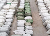 The Drug War in Mexico