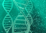 Green DNA double helix