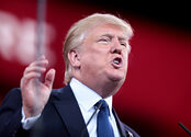 Media Name: 16677804412_b704ac09eb_b.jpg