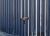 Media Name: gettyimages-980468386-170667a.jpg