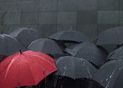 Media Name: thinkstockphotos-200398499-001.jpg
