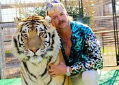 Media Name: tiger_king.jpg
