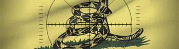 Libertarianism in the Crosshairs