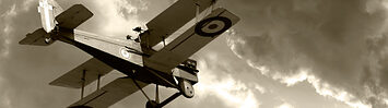 The origins of World War I