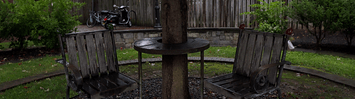 Two chairs and a table sit underneath a tree.