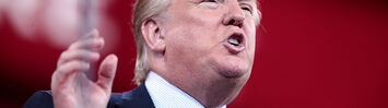 Media Name: 16677804412_b704ac09eb_b.jpg