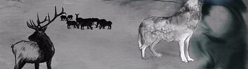 Media Name: 2-3-2014_endangered_species.jpg
