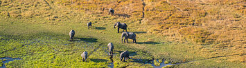 Media Name: gettyimages-1063649454-170667a.jpg