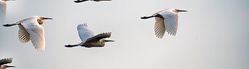 Media Name: gettyimages-1066510306-170667a.jpg