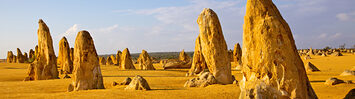 Media Name: gettyimages-505956759.jpg