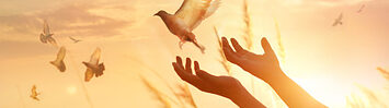Media Name: gettyimages-928175916-170667a.jpg
