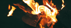 Cavallo - Sixty Years After Truffaut’s Fahrenheit 451: An Enduring Warning for Our Surveillance Age (no text)